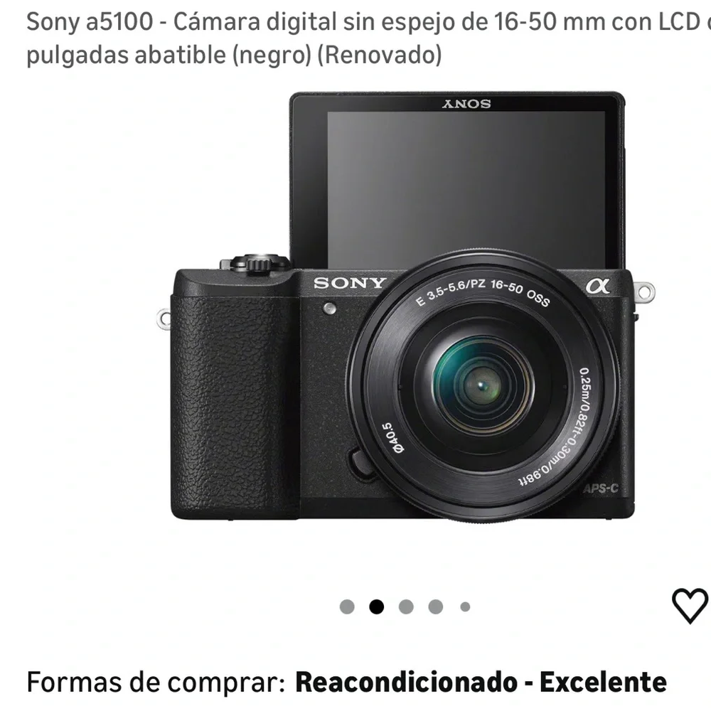 Sony Alpha Black Digital Camera with Flip Display